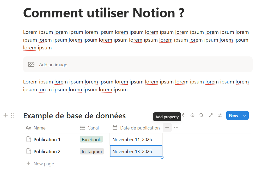 Capture d'écran d'un exemple de base de données dans Notion