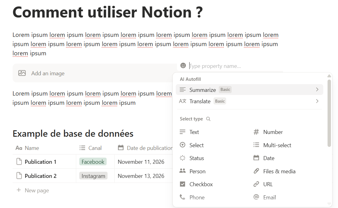 Capture d'écran du panneau des propriétés dans les bases de données Notion