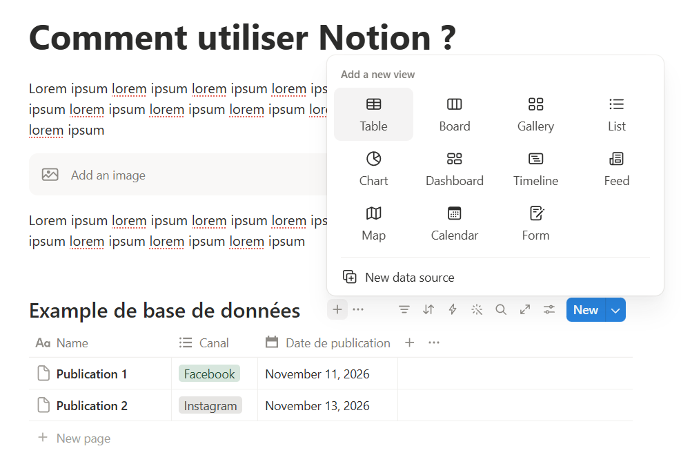 Capture du panneau des différentes vues sur les bases de données Notion